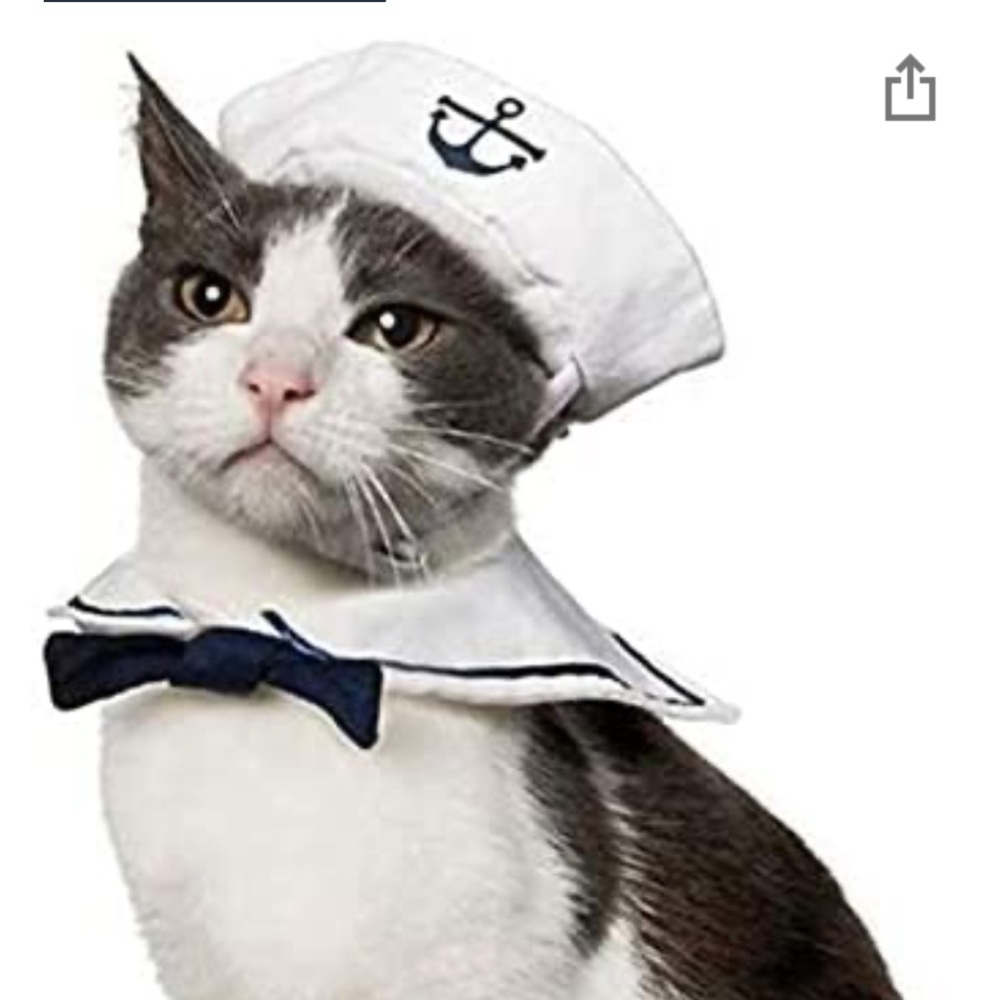 Pet Costume